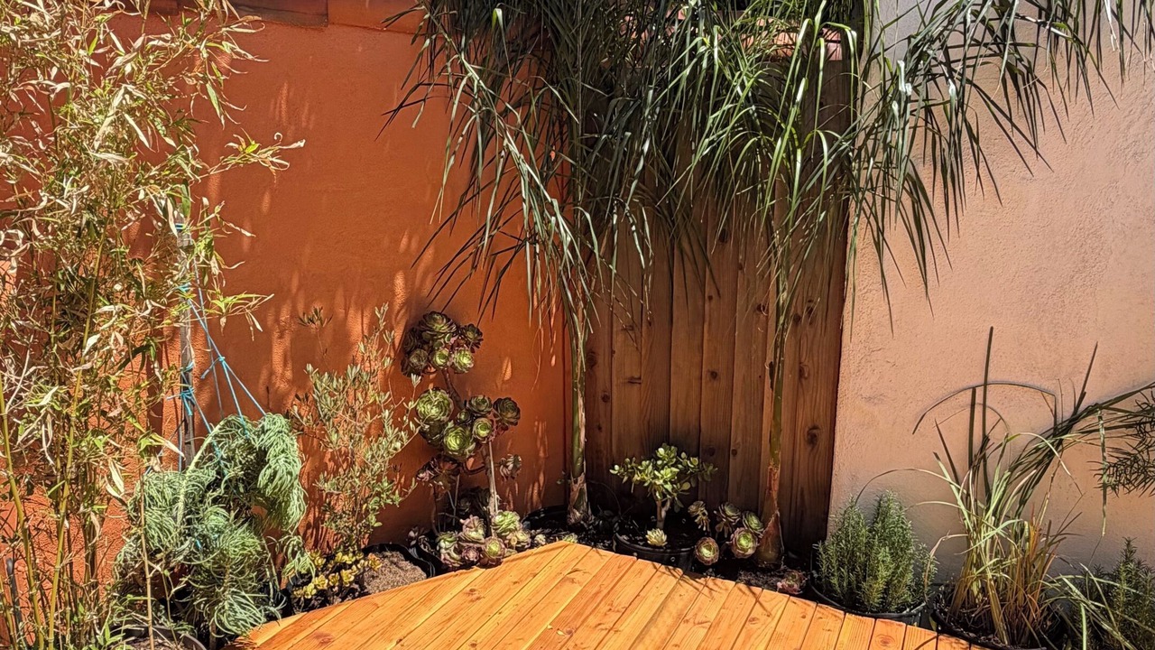 Photo of Patio Balcony in Mar Vista
