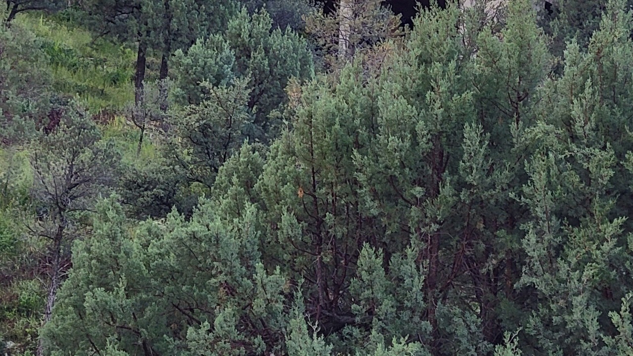 Photo of Outdoor in Yavapai Hills