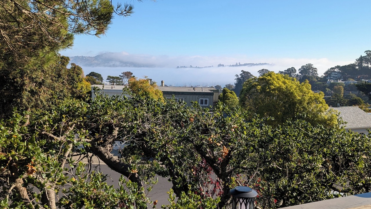 Photo of Others in Marin City