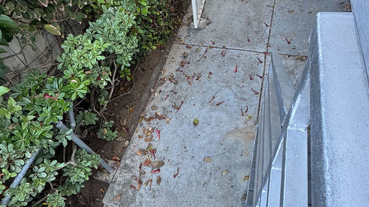 Photo of Outdoor in Point Loma Heights