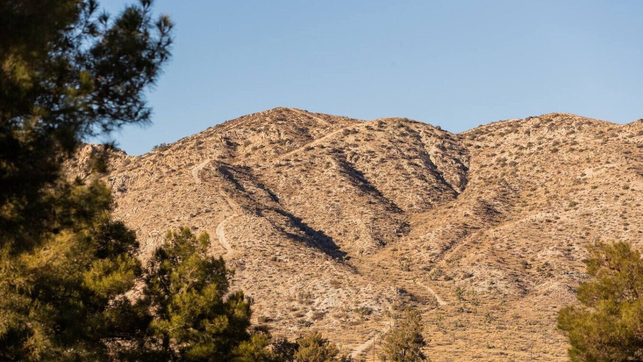 Photo of Others in Yucca Valley