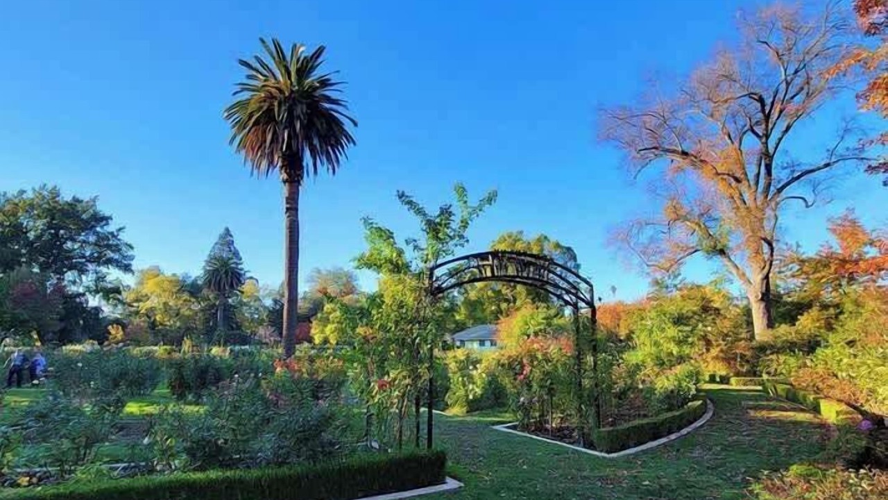 Photo of Outdoor in Central Sacramento