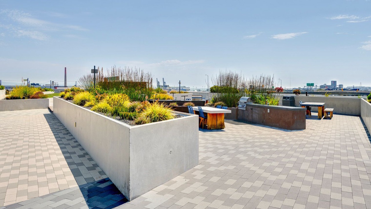 Photo of Outdoor in Potrero Hill