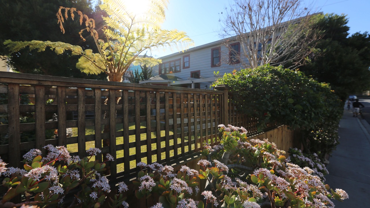 Photo of Outdoor in Avalon