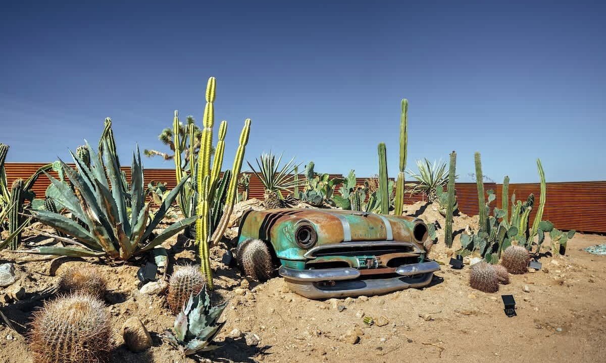 Photo of Others in Yucca Valley