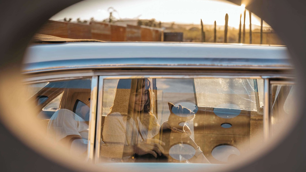Photo of Others in Yucca Valley