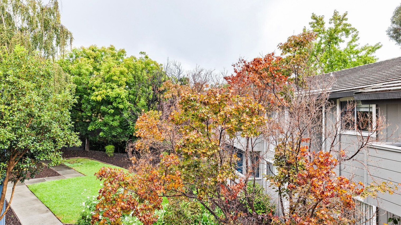 Photo of Outdoor in West San Jose