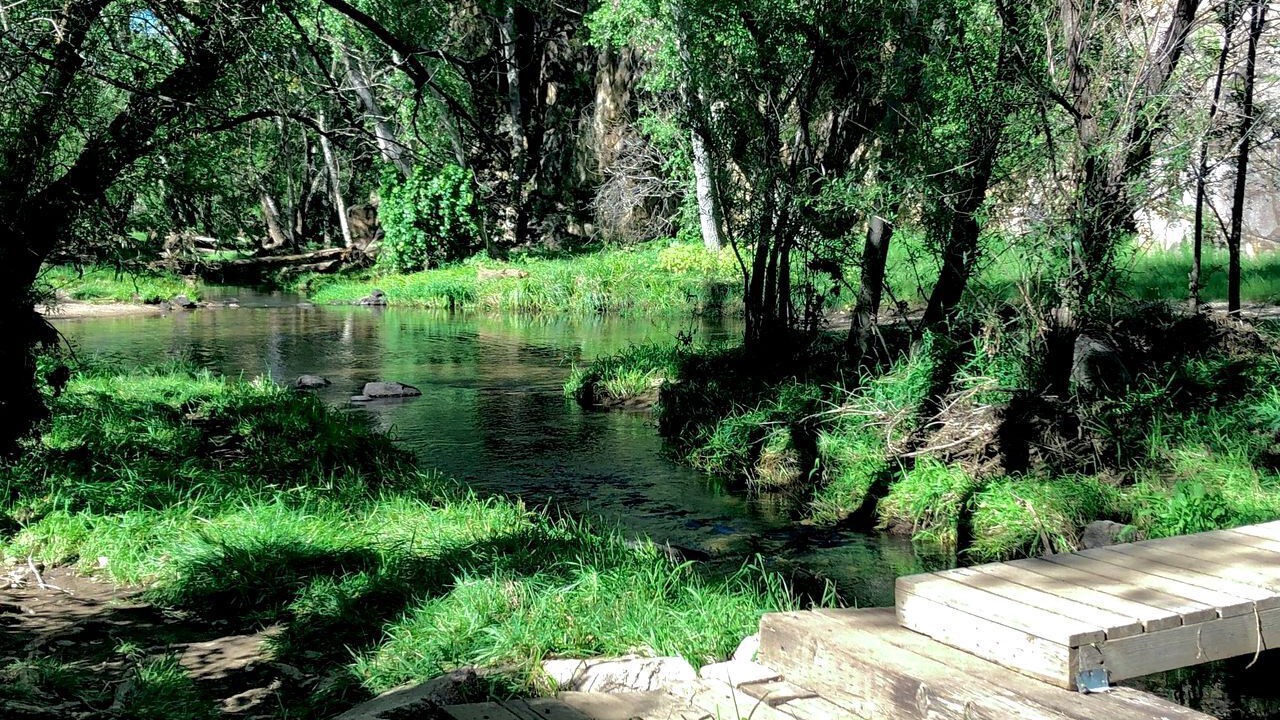 Photo of Others in Prescott