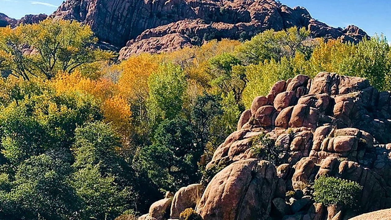 Photo of Others in Prescott