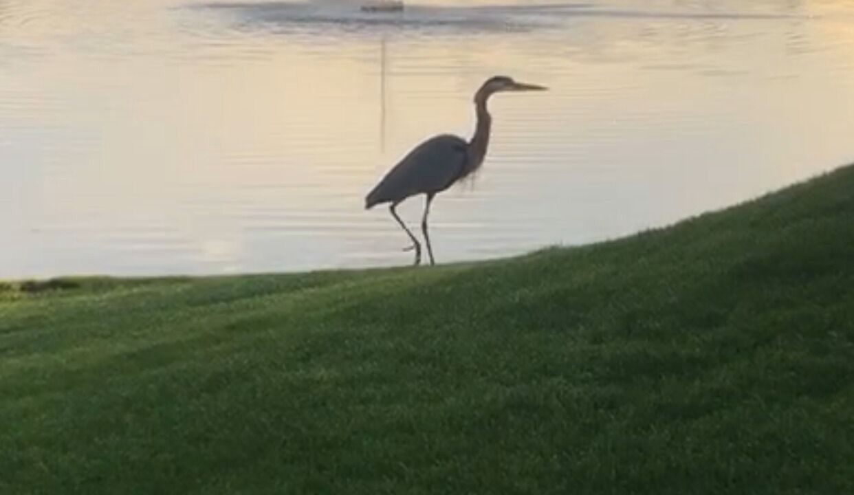 Photo of Others in La Quinta