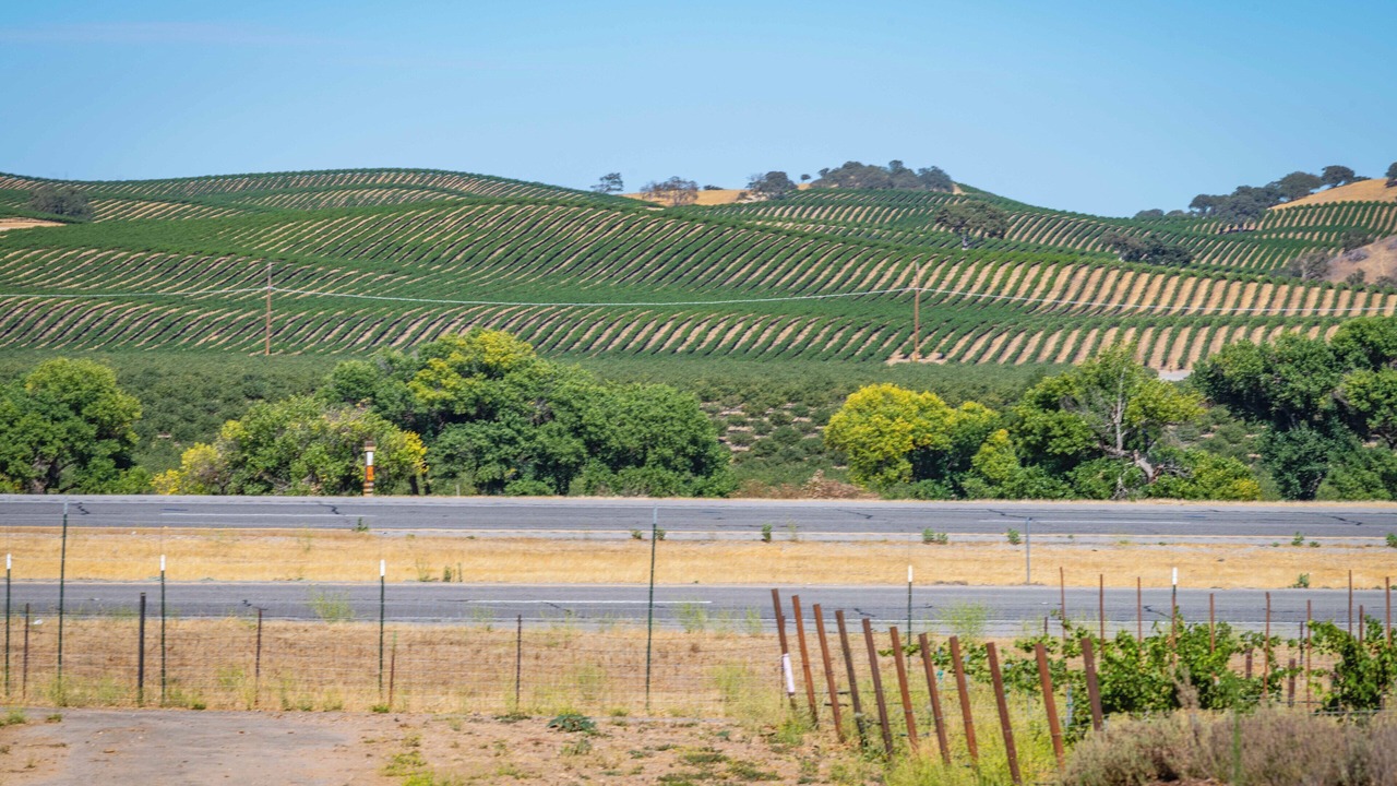 Photo of Others in Paso Robles