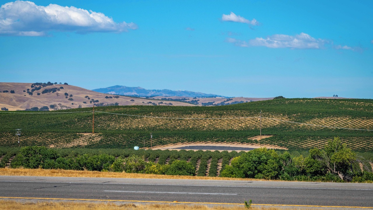 Photo of Others in Paso Robles