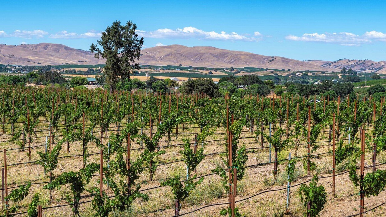 Photo of Others in Paso Robles