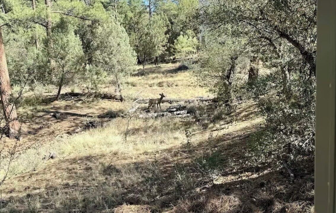 Photo of Others in Oak Knoll Village