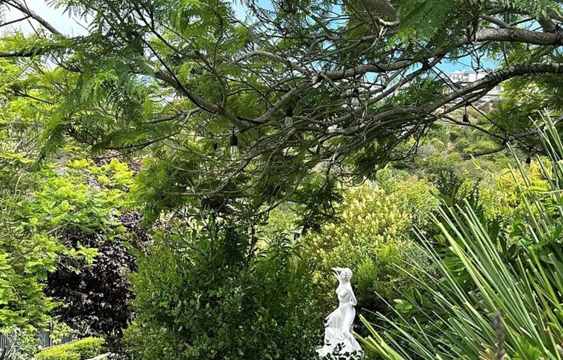 Photo of Others in Arch Beach Heights