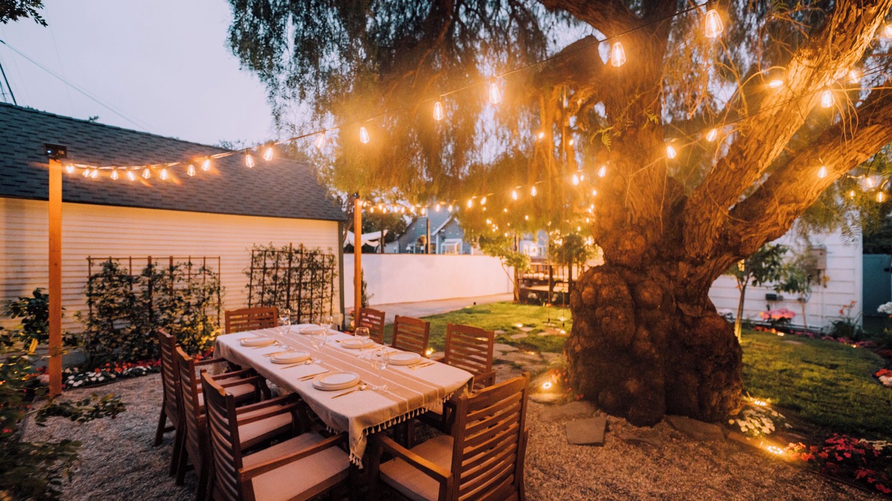 Photo of Outdoor in Palms