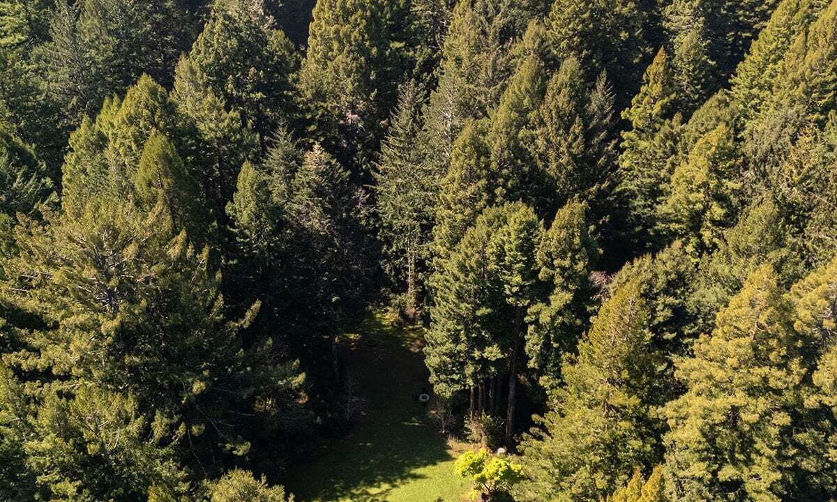 Photo of Outdoor in Trinidad
