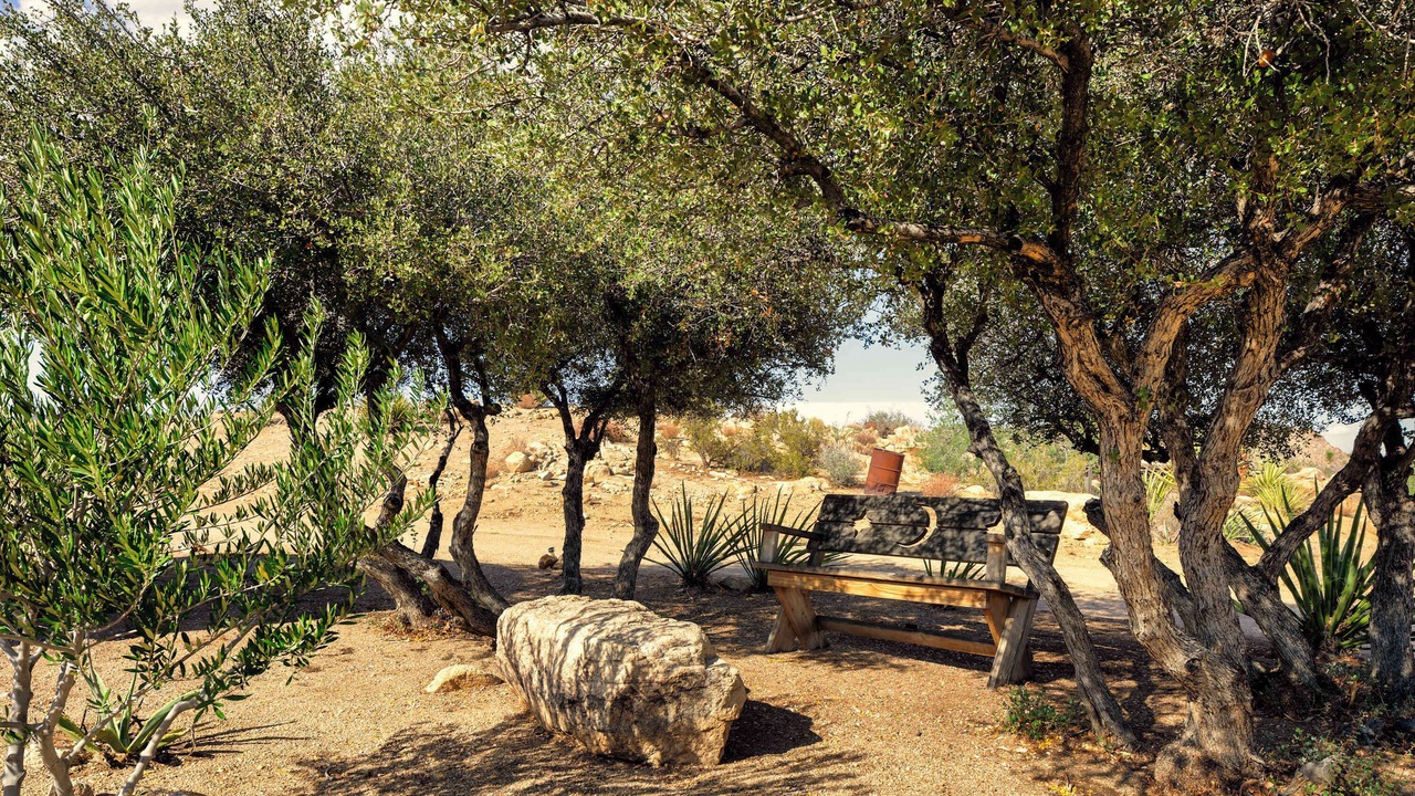 Photo of Outdoor in Pioneertown