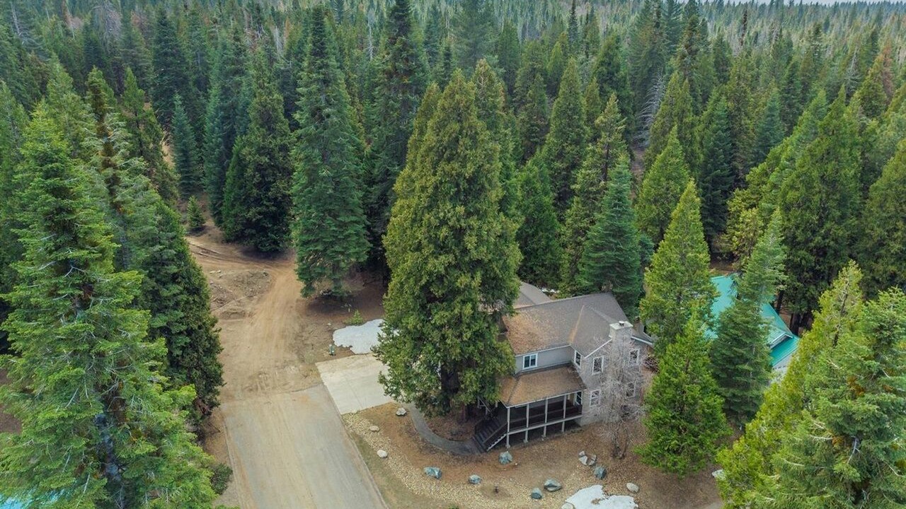 Photo of Outdoor in Shaver Lake