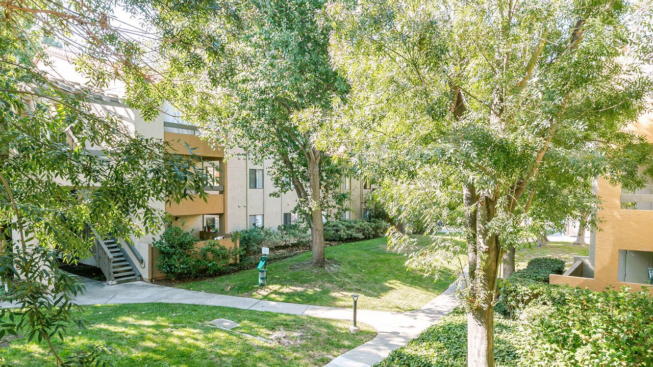 Photo of Outdoor in Shoreline West