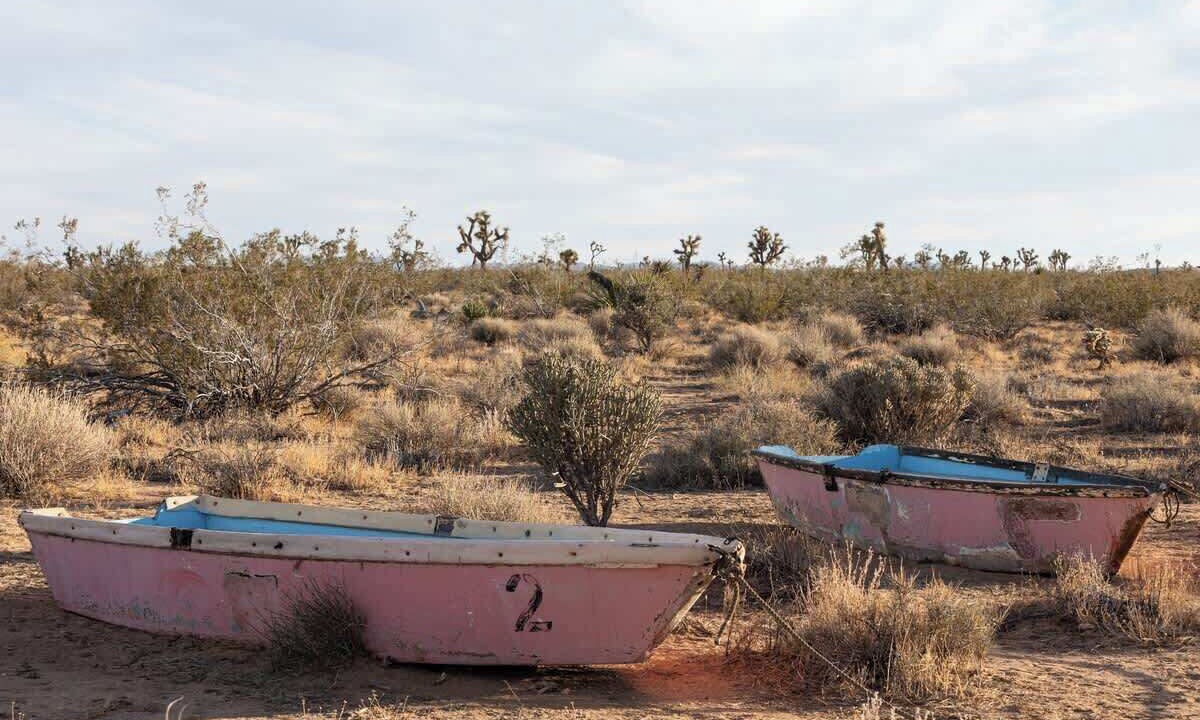 Photo of Others in Yucca Valley
