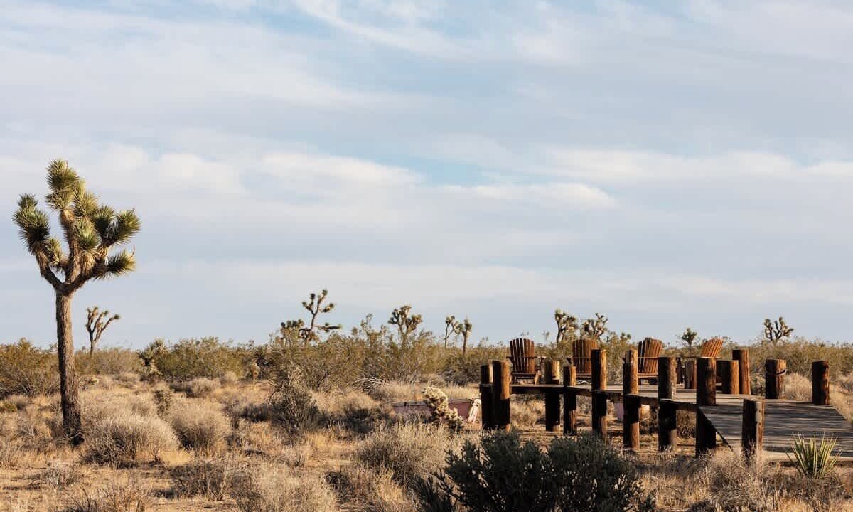 Photo of Others in Yucca Valley
