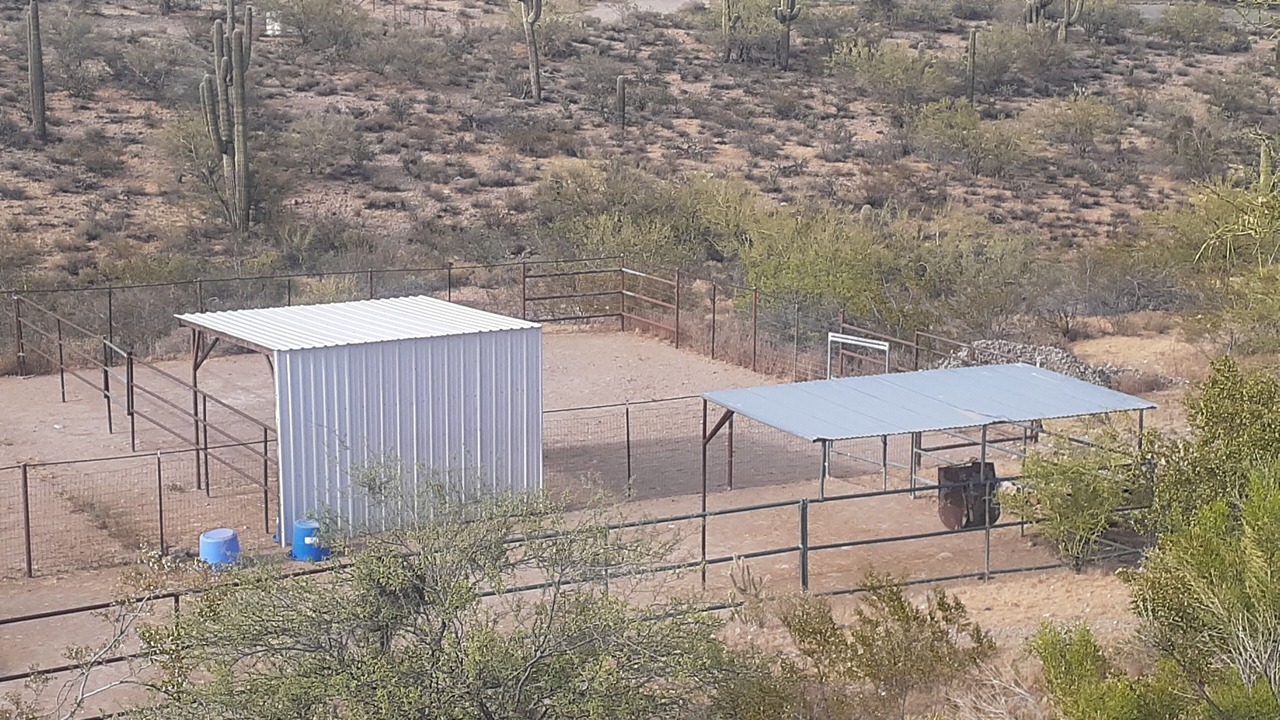 Photo of Others in Wickenburg