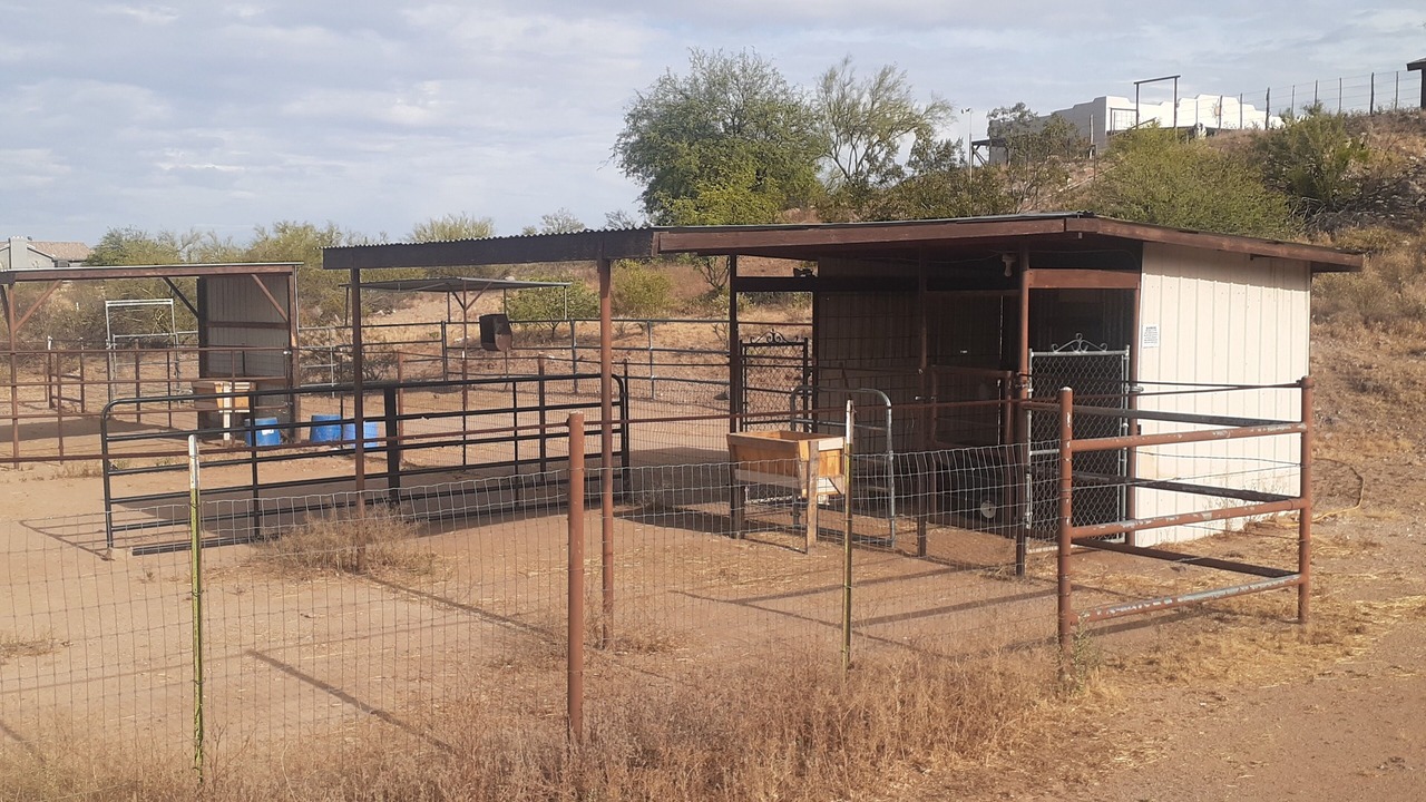Photo of Others in Wickenburg