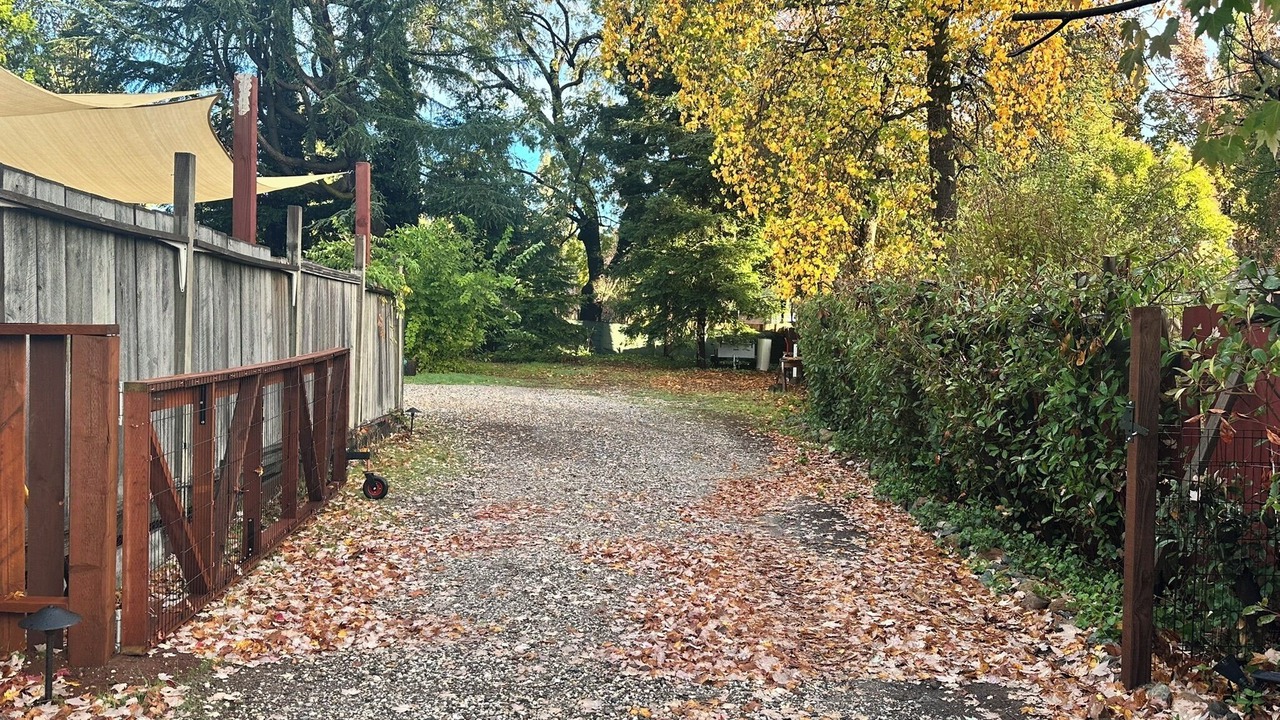 Photo of Outdoor in Grass Valley