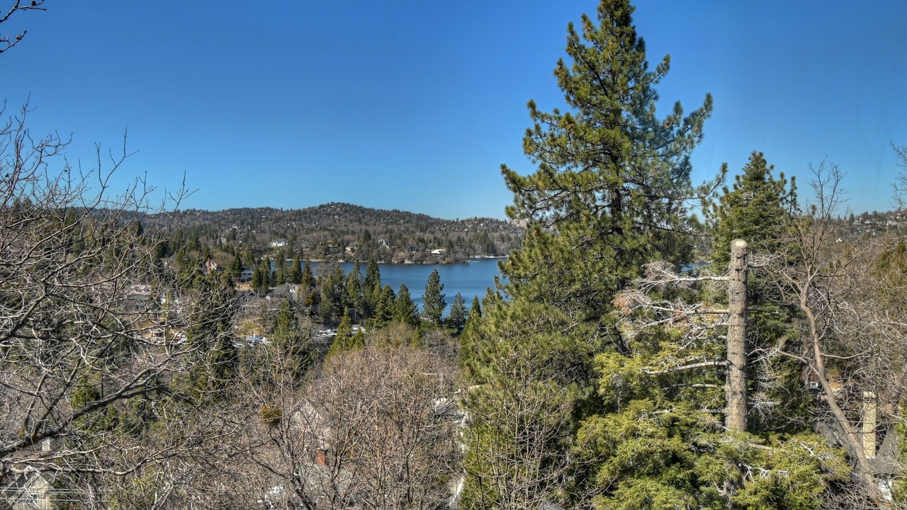 Photo of Others in Cedar Glen