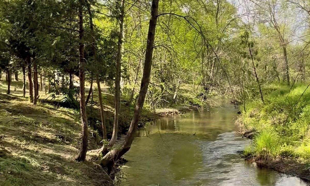 Photo of Others in North Fork