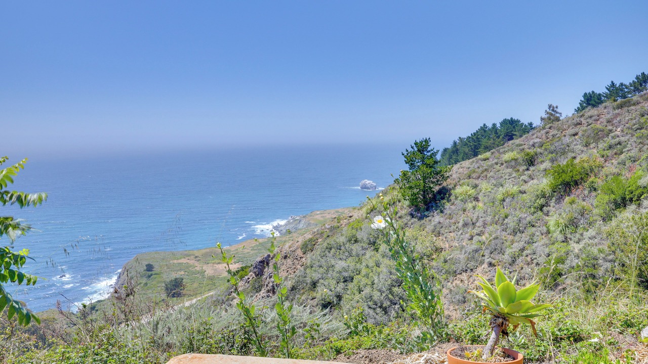 Photo of Others in Big Sur