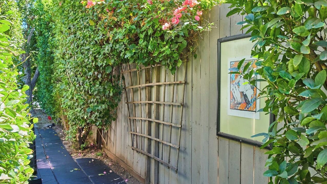 Photo of Outdoor in Lake Balboa