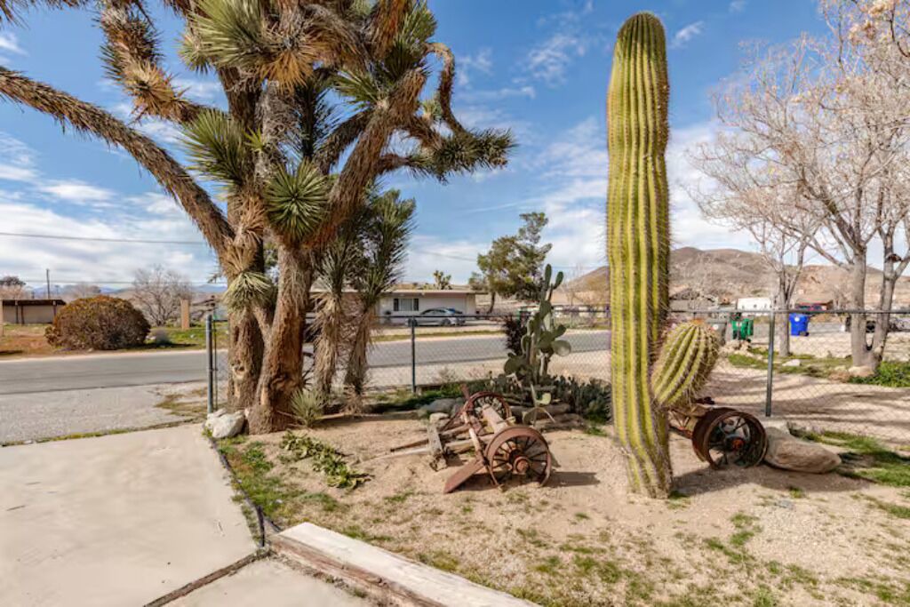 Photo of Others in Yucca Valley