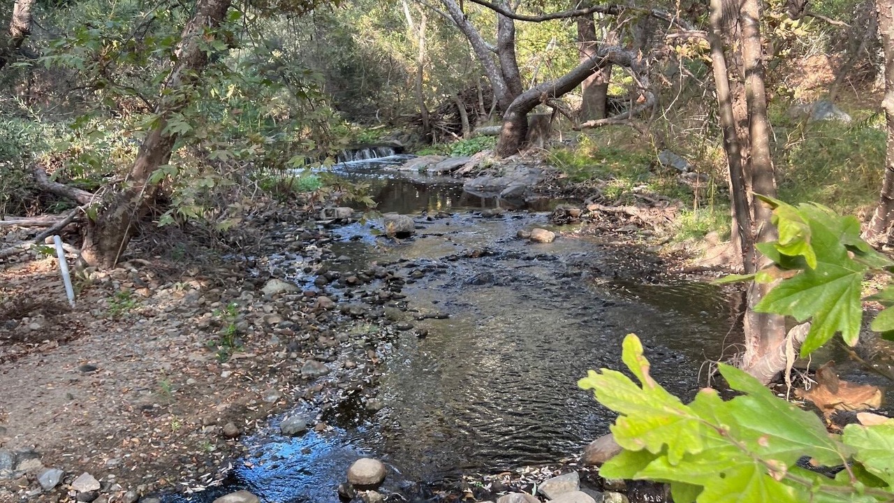 Photo of Others in Escondido