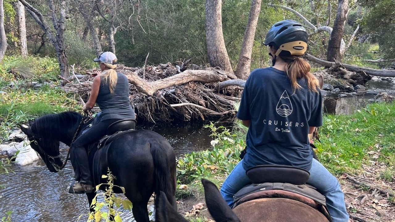 Photo of Others in Escondido