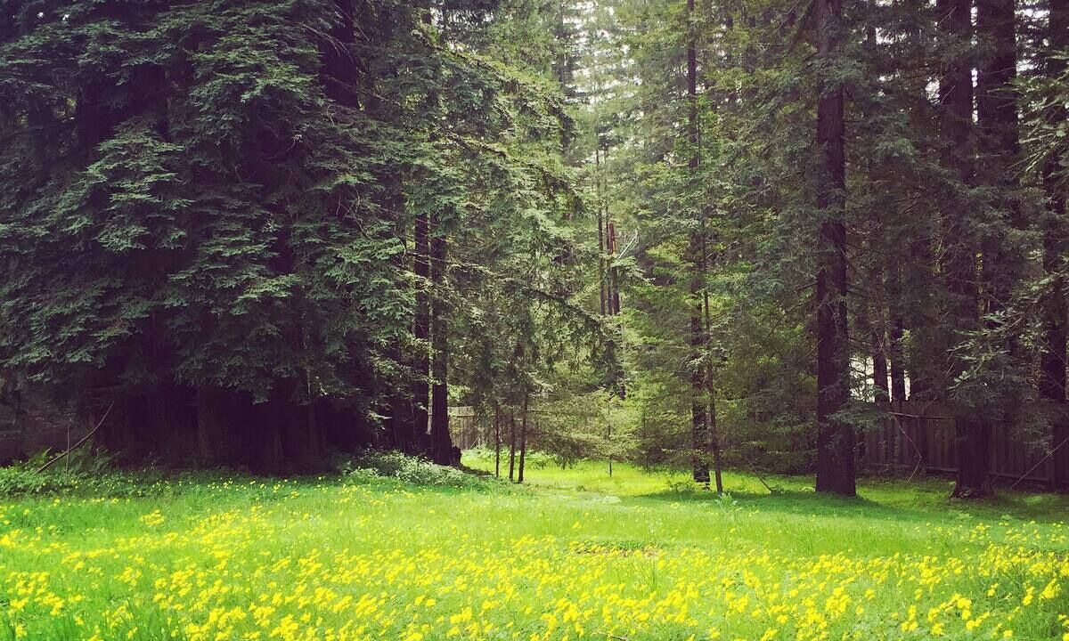 Photo of Outdoor in Occidental