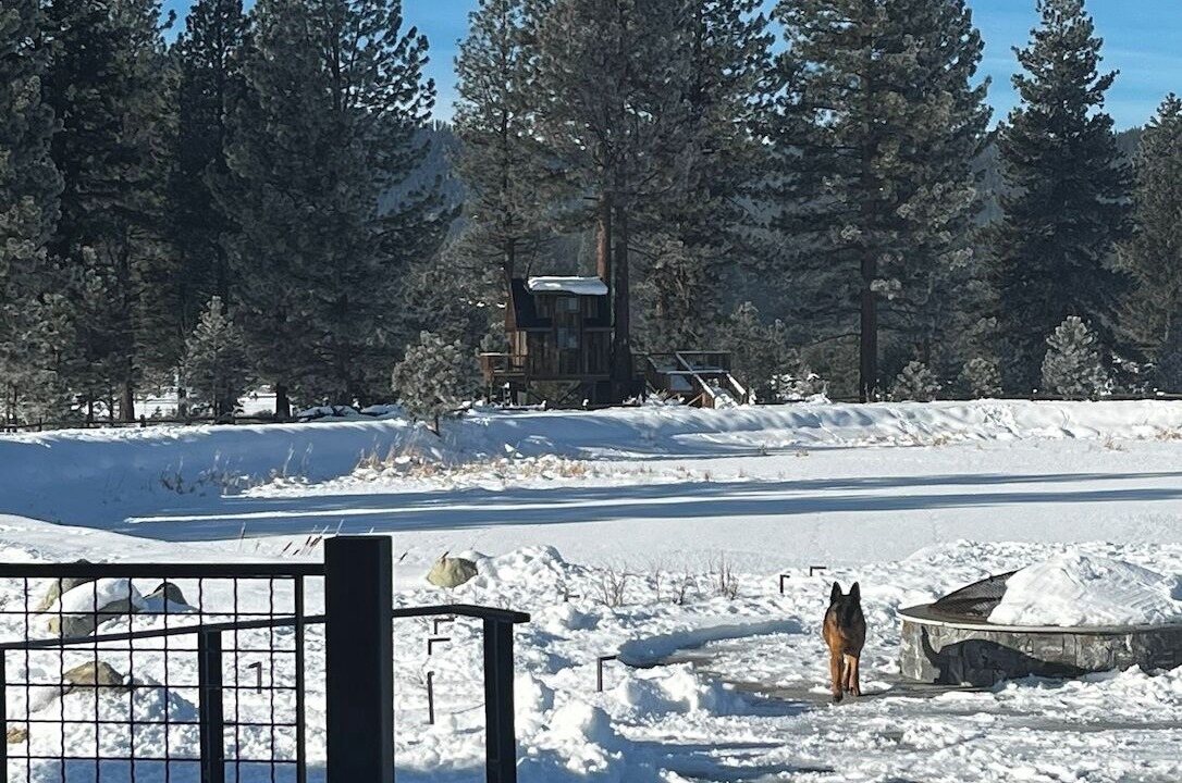 Photo of Outdoor in Calpine