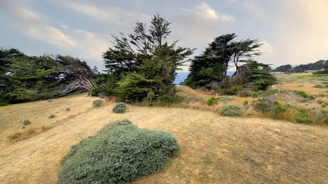 Photo of Others in Sea Ranch