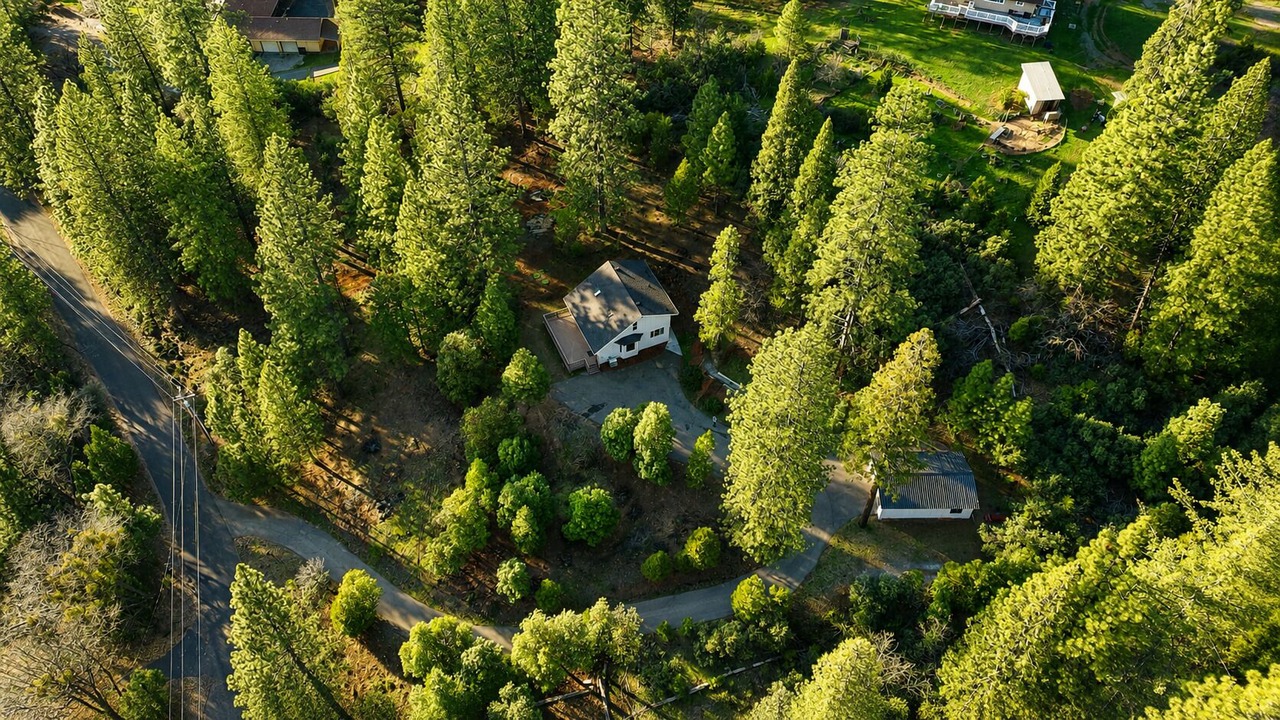 Photo of Outdoor in Placerville