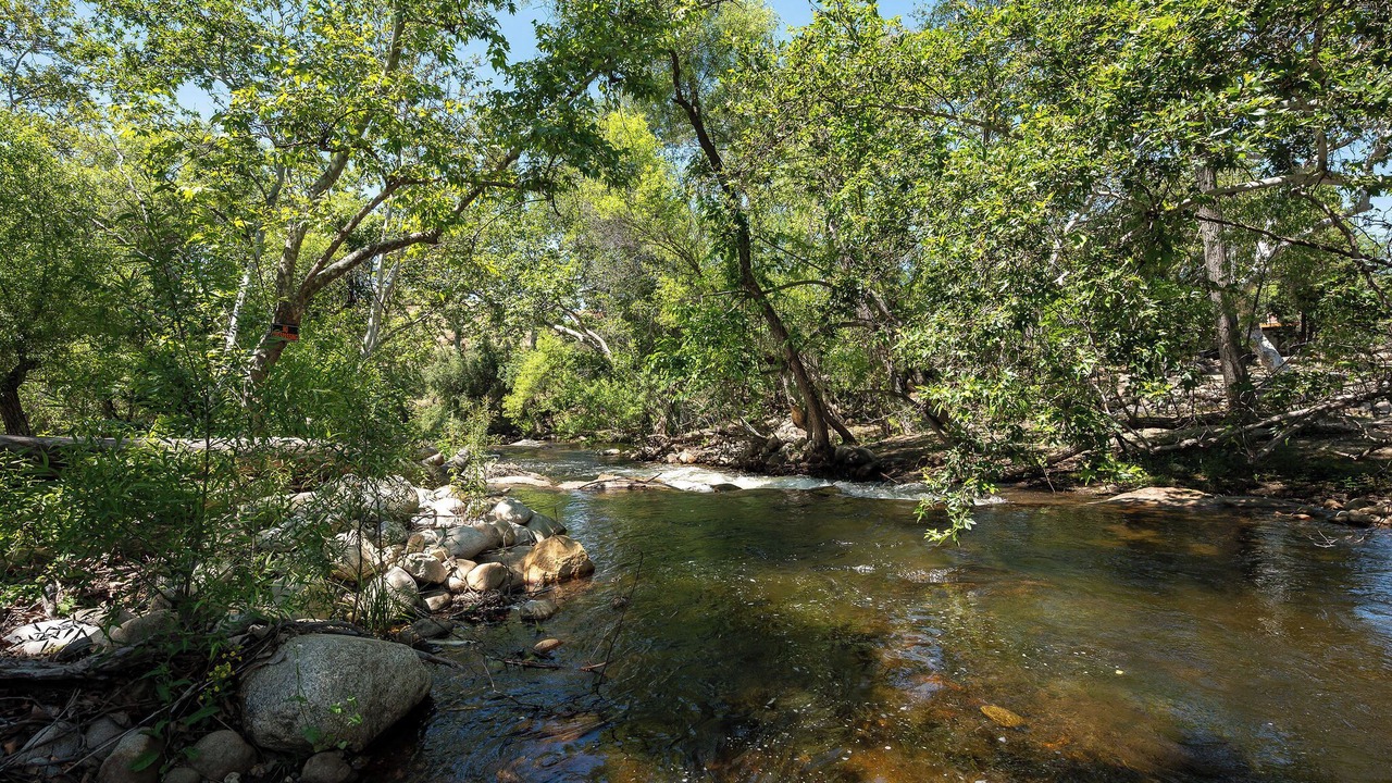 Photo of Others in Three Rivers