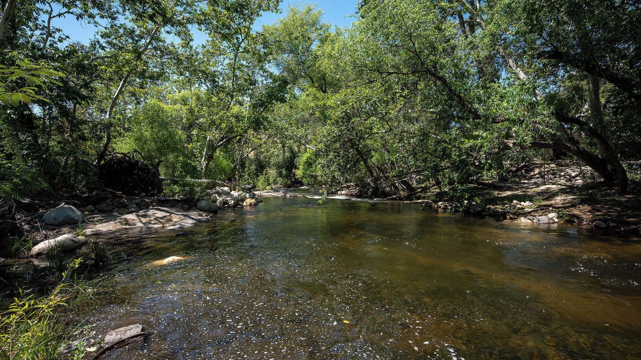 Photo of Others in Three Rivers