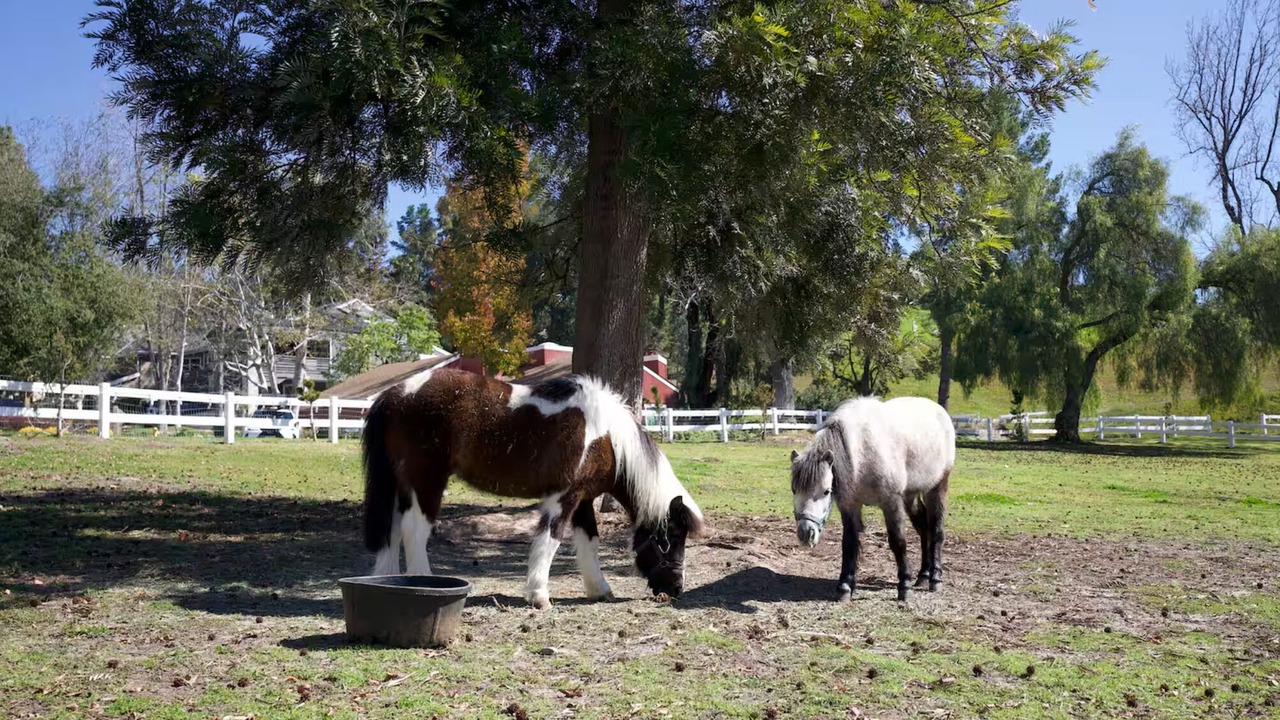 Photo of Others in Coto de Caza