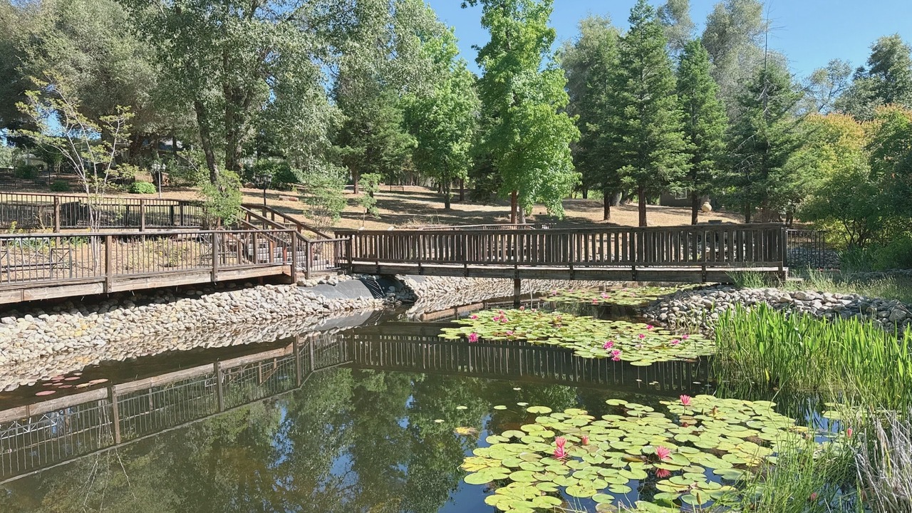 Photo of Outdoor in Somerset