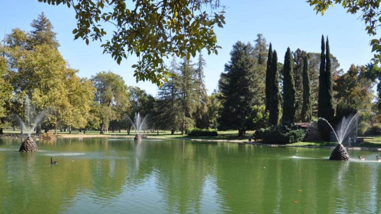 Photo of Others in Citrus Heights