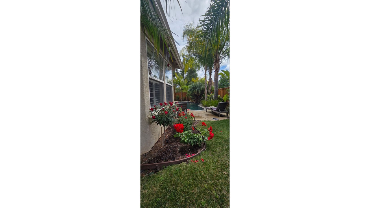 Photo of Outdoor in Concord