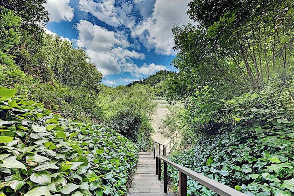 Photo of Outdoor in Guerneville