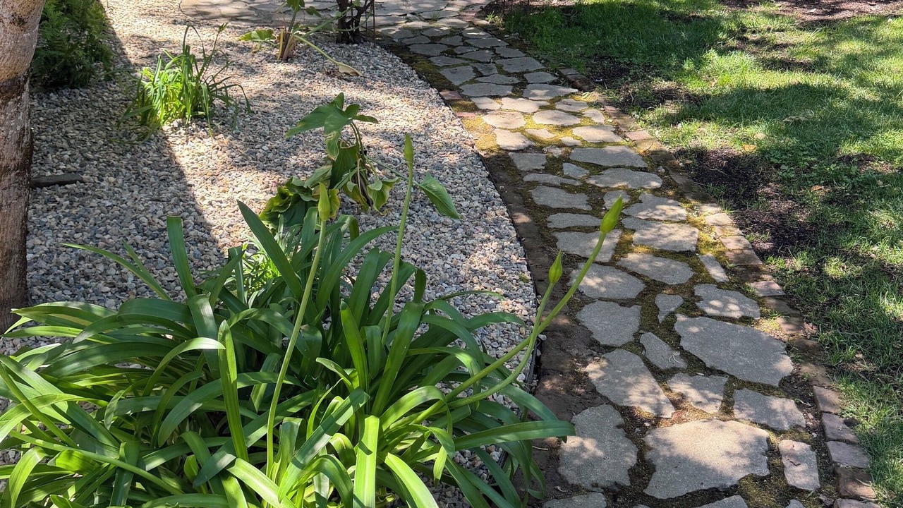 Photo of Outdoor in Napa