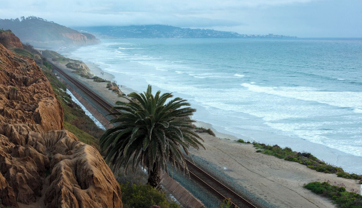 Photo of Others in Del Mar Heights