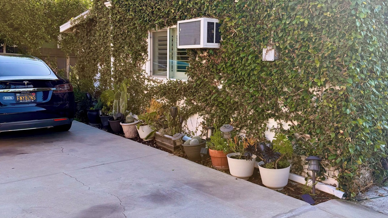 Photo of Outdoor in Mid City